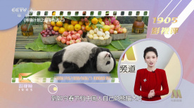 www,黄视频